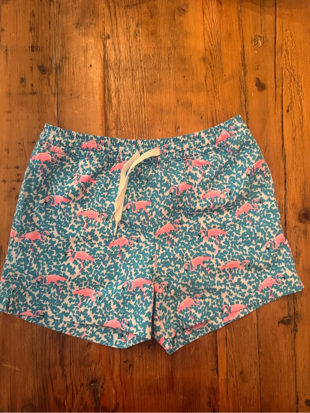 chubbies Kids Swim Trunks Teal w/ Pink Flamingo Print. Neon pink built  brief